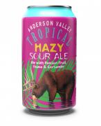 Anderson Valley Brewing - Tropical Hazy Sour Ale 0 (66)